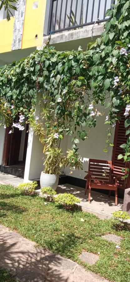 Mandara Rest Bed and Breakfast Hikkaduwa Exteriör bild