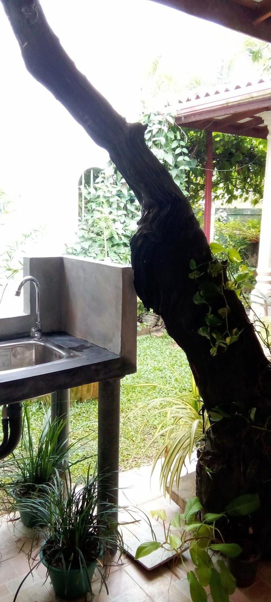 Mandara Rest Bed and Breakfast Hikkaduwa Rum bild