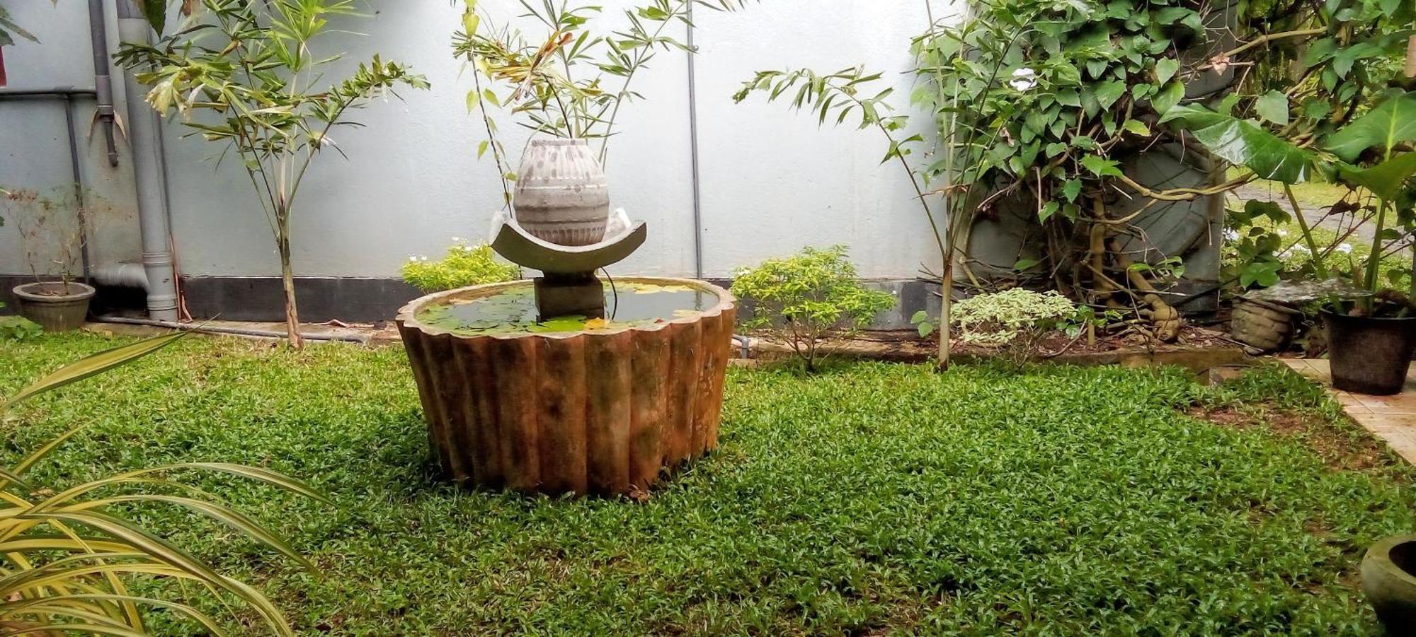 Mandara Rest Bed and Breakfast Hikkaduwa Rum bild